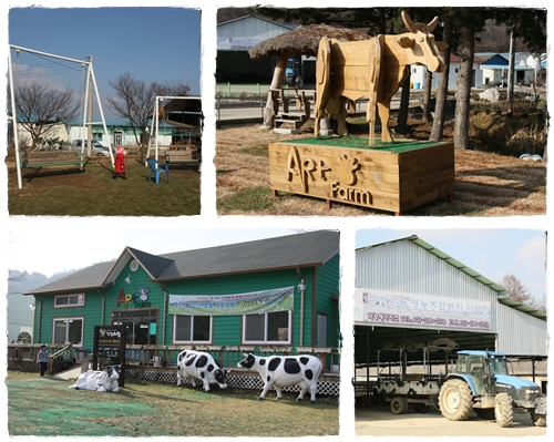 [주말여행]  포천 아트팜 체험농장